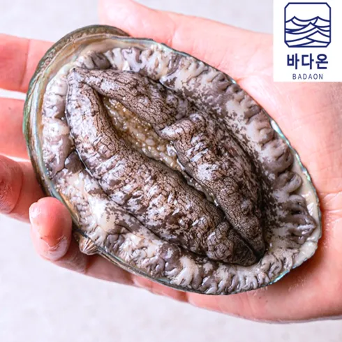 완도 한입활전복 1.2kg 실전에 적용하기