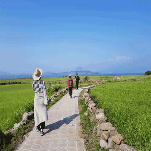 제주도 3박 4일 패키지 구체적인 예시로 배우기