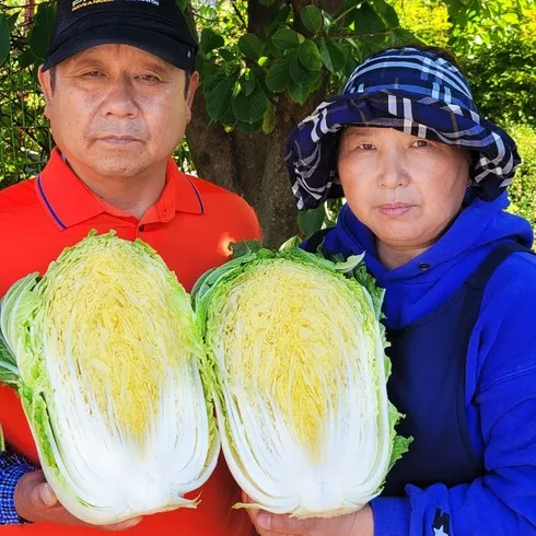 강원도절임배추 쉽고 빠른 해결책