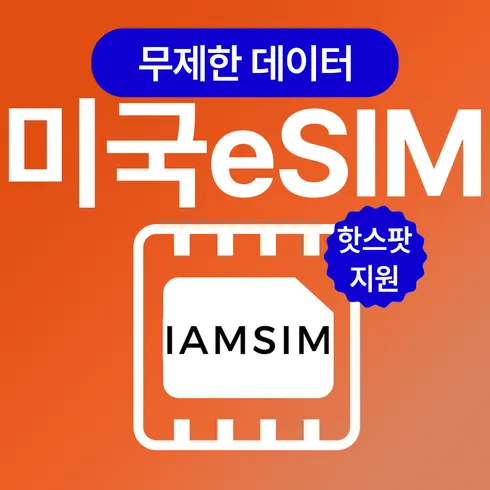 미국esim 단계별로 쉽게 설명